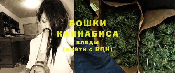трава Долгопрудный