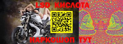 сатива Бузулук