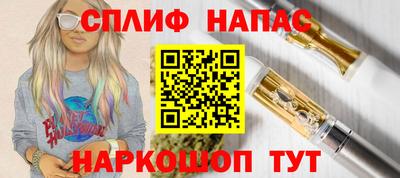сатива Будённовск