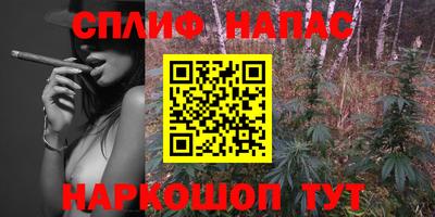 сатива Бузулук