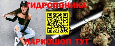 сатива Будённовск