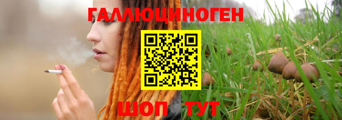 Псилоцибиновые грибы ЛСД Губкин